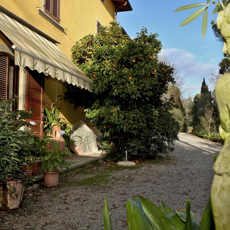 Agriturismo Il Poggetto Torre Eksteriør bilde