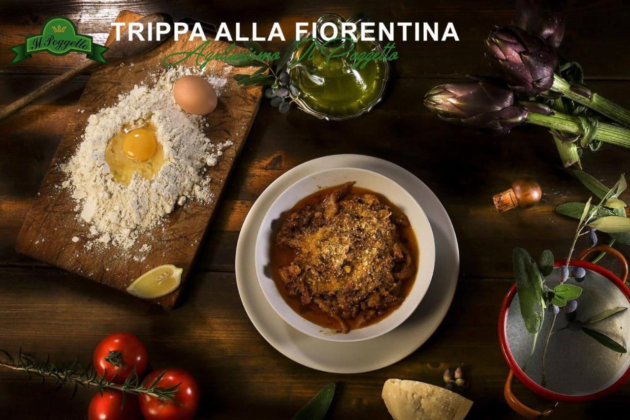 Agriturismo Il Poggetto Torre Eksteriør bilde